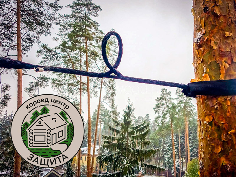 Укрепление деревьев